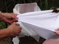 Simulazione 2012